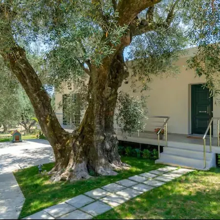 Villa Vardavilla Lithakia (Zakynthos)